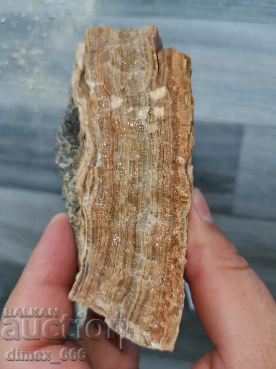 Μάρμαρο Όνυχας, Ασβεστίτης, Αραγονίτης με τιμή 15.00 BGN | € 7.67 Μάρμαρο Όνυχας, Ασβεστίτης, Αραγονίτης με τιμή 15.00 BGN | € 7.67