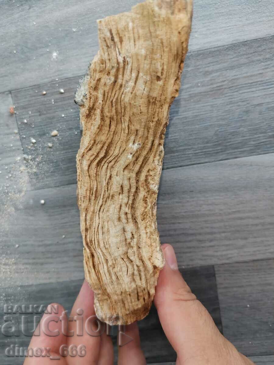 Δημοπρασία Μάρμαρο Όνυχας, Ασβεστίτης, Αραγονίτης Δημοπρασία Μάρμαρο Όνυχας, Ασβεστίτης, Αραγονίτης