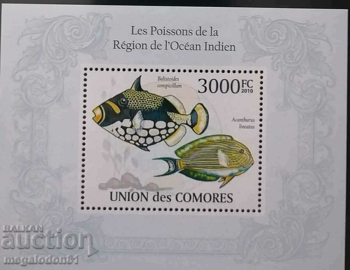 Παράδοση Komori - Πανίδα του Ινδικού Ωκεανού Παράδοση Komori - Πανίδα του Ινδικού Ωκεανού