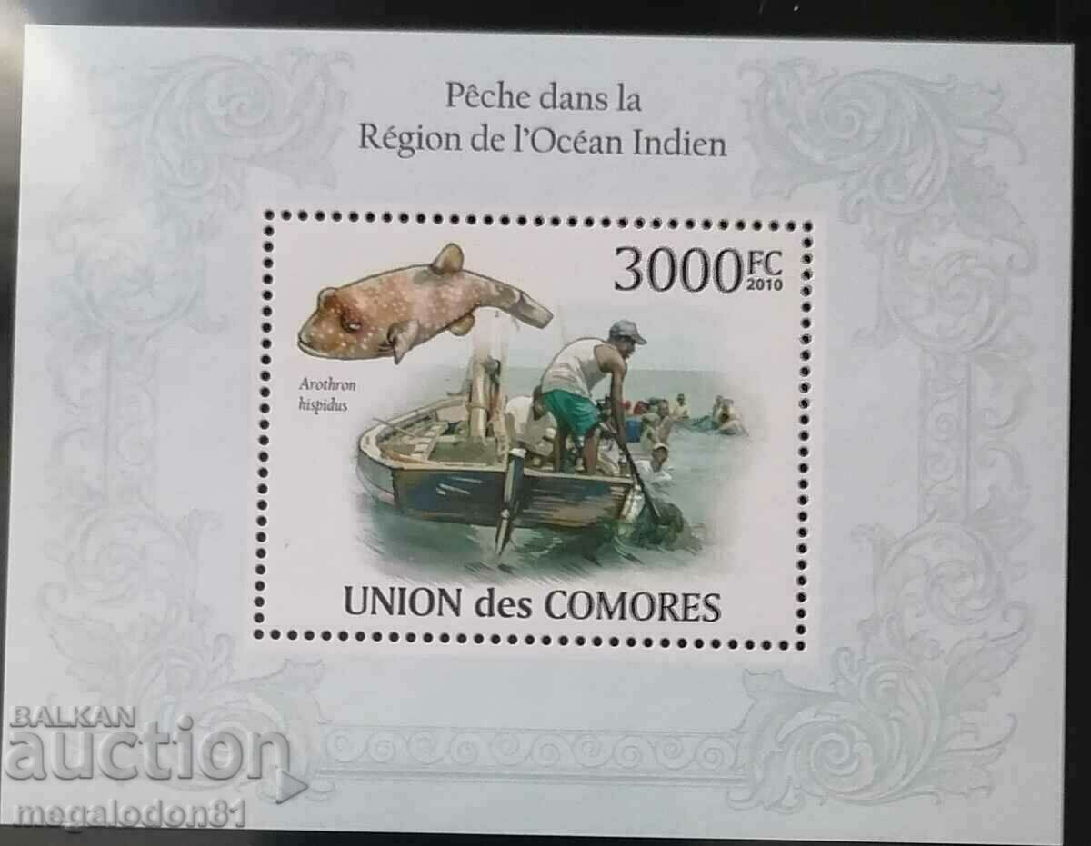 Komori - Πανίδα του Ινδικού Ωκεανού - 5 Komori - Πανίδα του Ινδικού Ωκεανού - 5