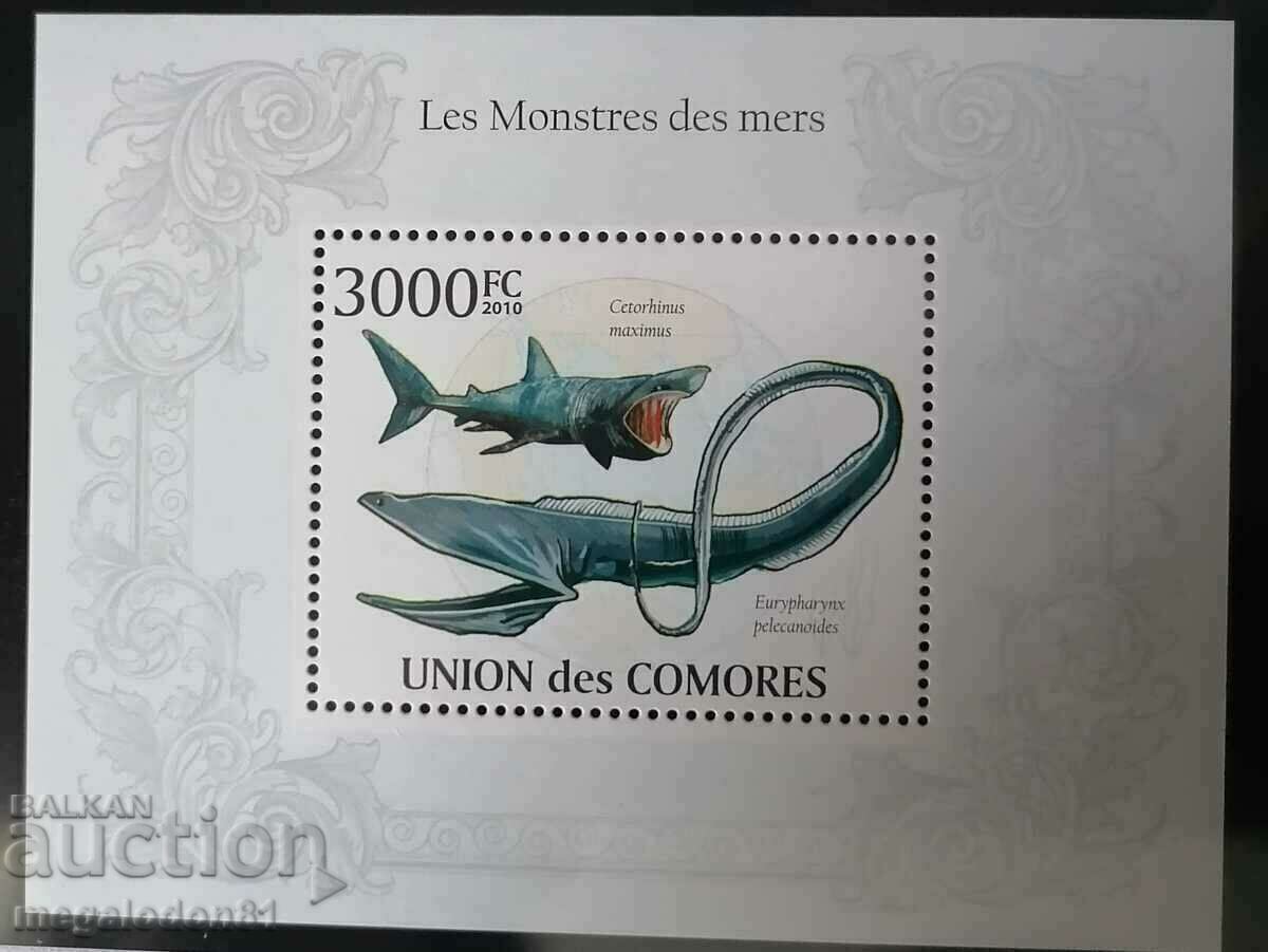 Komori - Πανίδα του Ινδικού Ωκεανού - 6 Komori - Πανίδα του Ινδικού Ωκεανού - 6