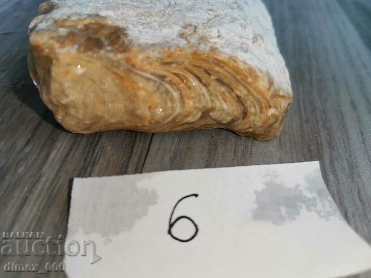 Auction Marble onyx, Calcite, Aragonite - 5 pcs. Auction Marble onyx, Calcite, Aragonite - 5 pcs.