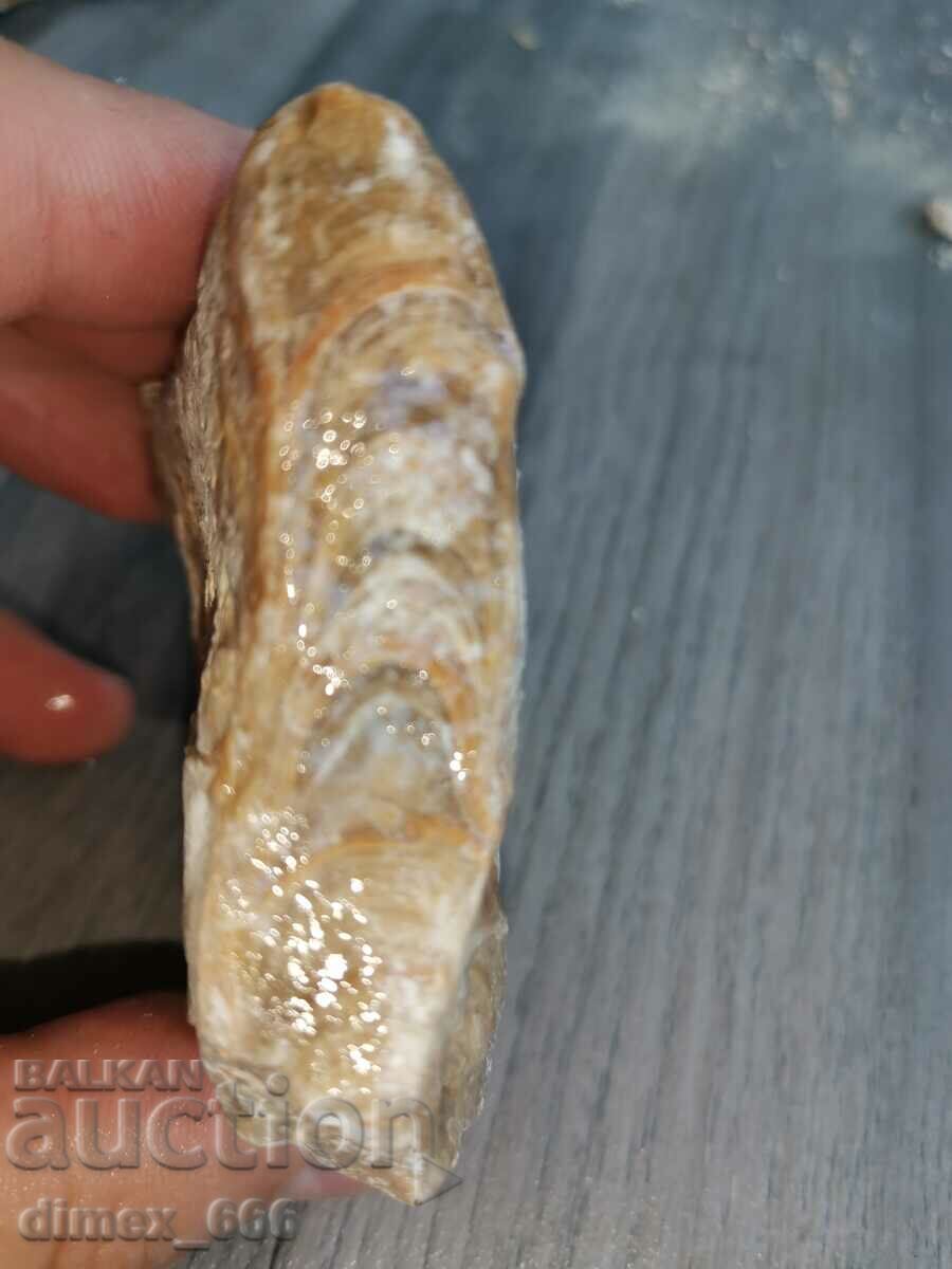 Delivery of Marble onyx, Calcite, Aragonite - 5 pcs. Delivery of Marble onyx, Calcite, Aragonite - 5 pcs.