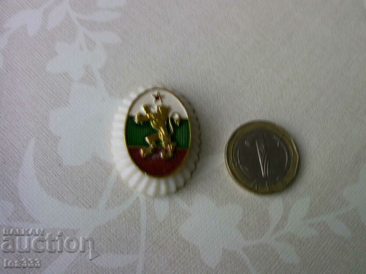 Licitație Pălărie cocardă BNA