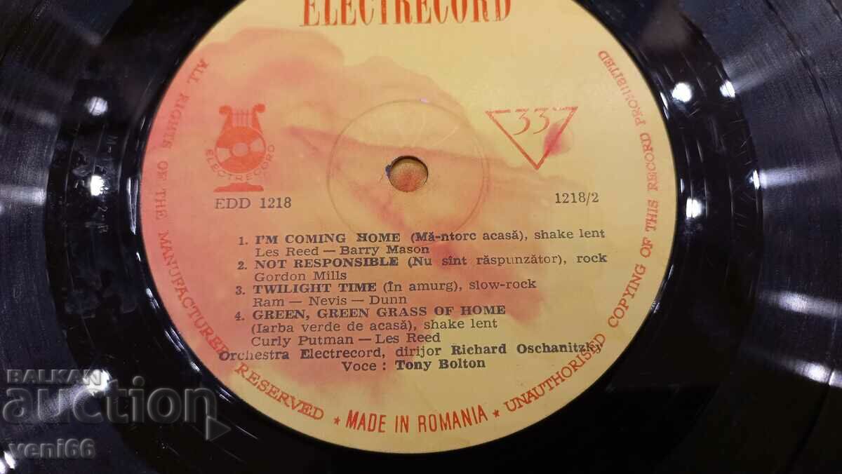 Auction Gramophone plate - medium format Auction Gramophone plate - medium format