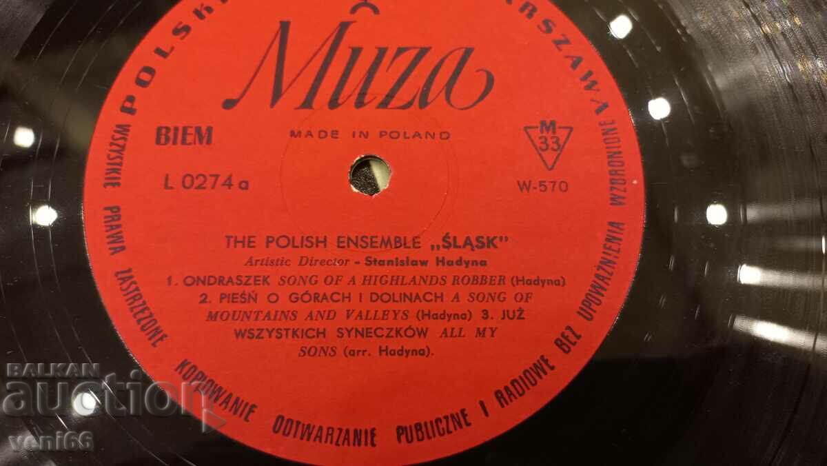 Auction Gramophone plate - medium format Auction Gramophone plate - medium format