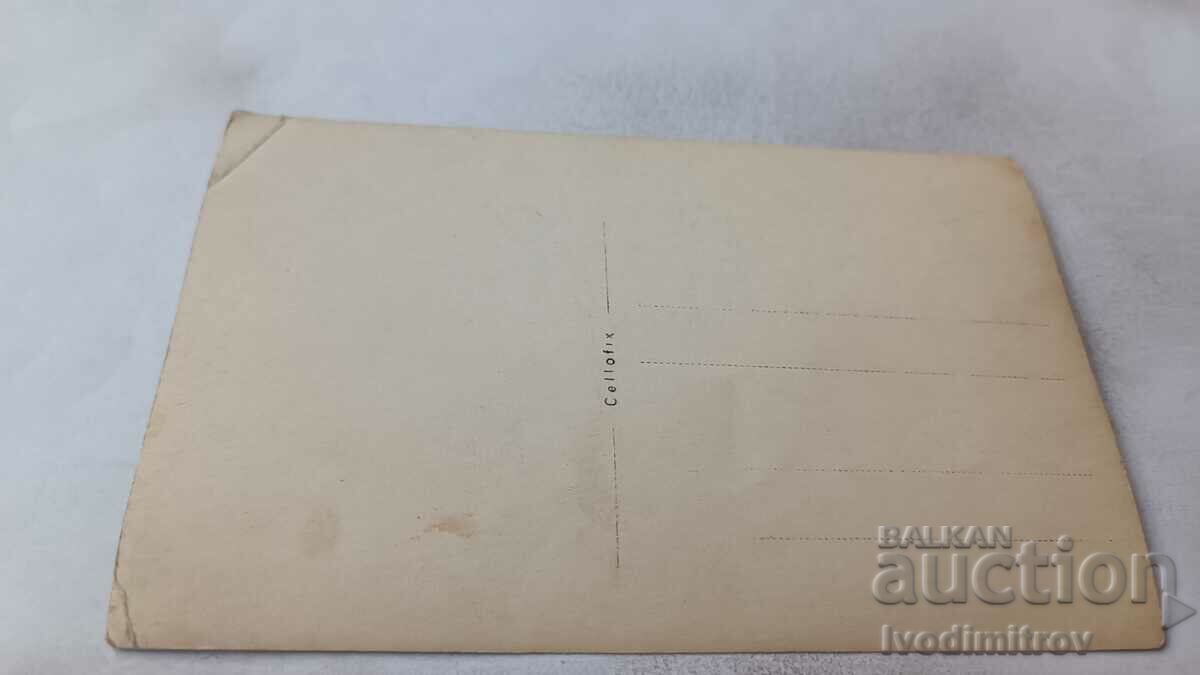 Photo Young men and women in the bed of a small stream with price 1.75 BGN | € 0.89 Photo Young men and women in the bed of a small stream with price 1.75 BGN | € 0.89