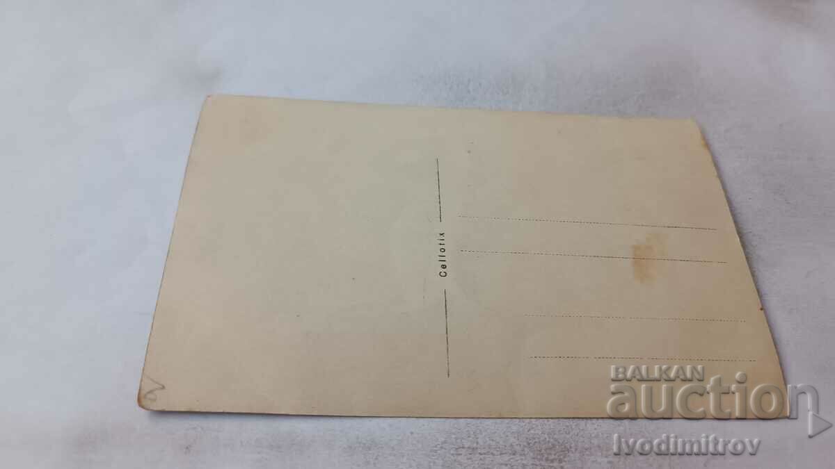 Φωτογραφία Νέοι άνδρες και γυναίκες μπροστά από έναν καταρράκτη με τιμή 1.65 BGN | € 0.84 Φωτογραφία Νέοι άνδρες και γυναίκες μπροστά από έναν καταρράκτη με τιμή 1.65 BGN | € 0.84