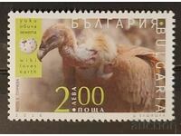 Βουλγαρία 2016 Πανίδα/Πουλιά/Wiki Loves the Earth MNH