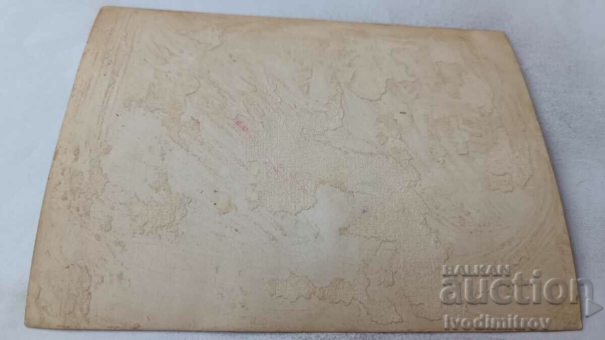 Photo Young men and women in carnival costumes with price 2.35 BGN | € 1.20