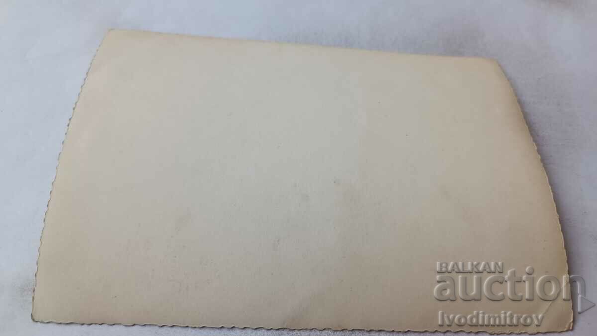 Photo Young men and women in carnival costumes with price 2.35 BGN | € 1.20 Photo Young men and women in carnival costumes with price 2.35 BGN | € 1.20