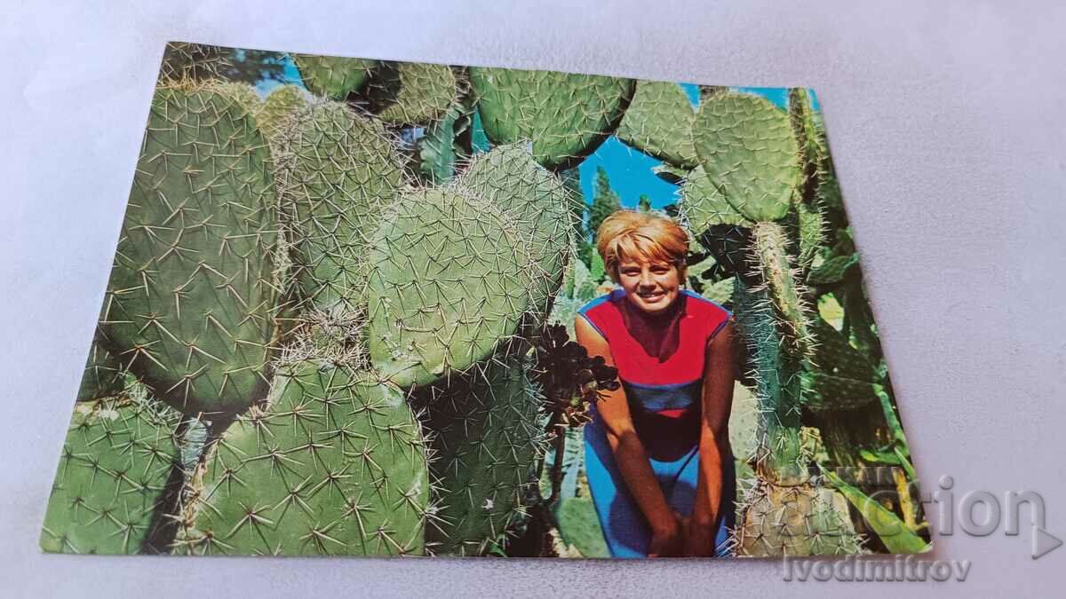 Пощенска картичка Балчик Ботаническата градина