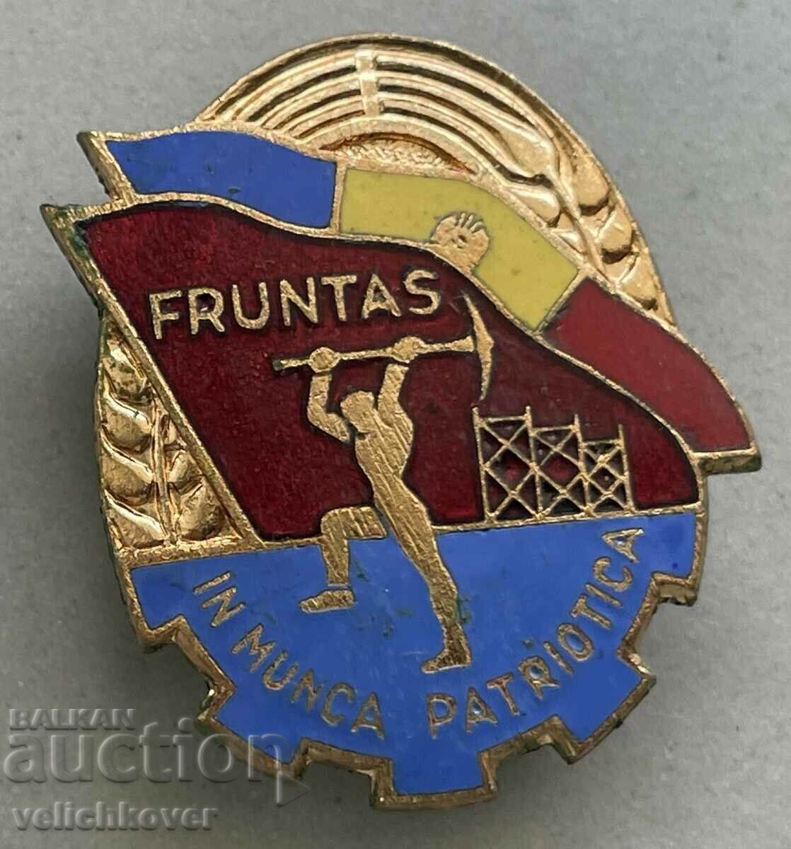 35428 Romania badge Excellent in patriotic work enamel