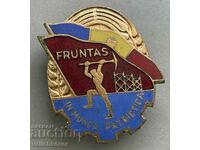 35428 Romania badge Excellent in patriotic work enamel