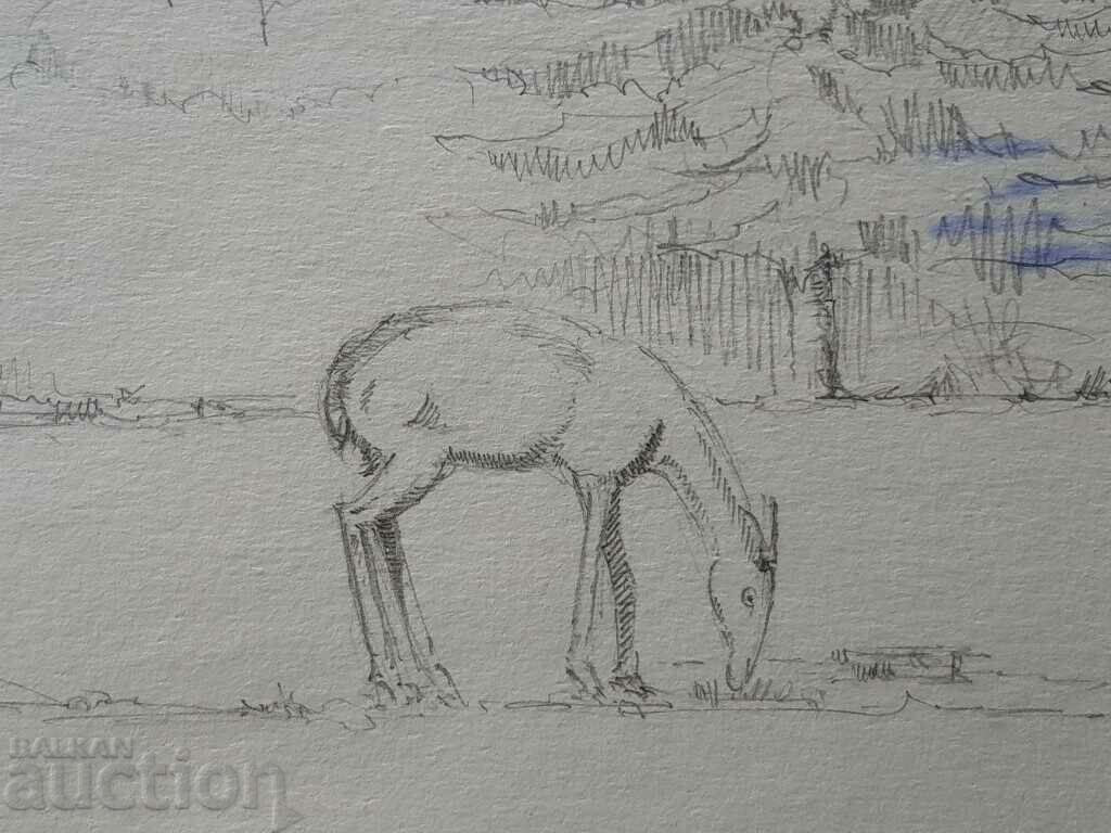 Παράδοση Κύριο σχέδιο με μολύβι Toma Petrov Τοπίο με ελαφίνα Παράδοση Κύριο σχέδιο με μολύβι Toma Petrov Τοπίο με ελαφίνα