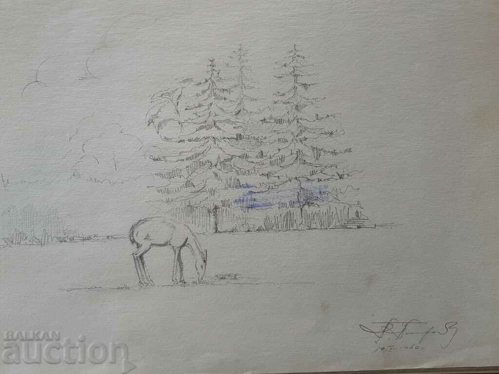 Master pencil drawing Toma Petrov Landscape with doe