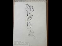 Master pencil drawing Toma Petrov Project of an acanthus leaf