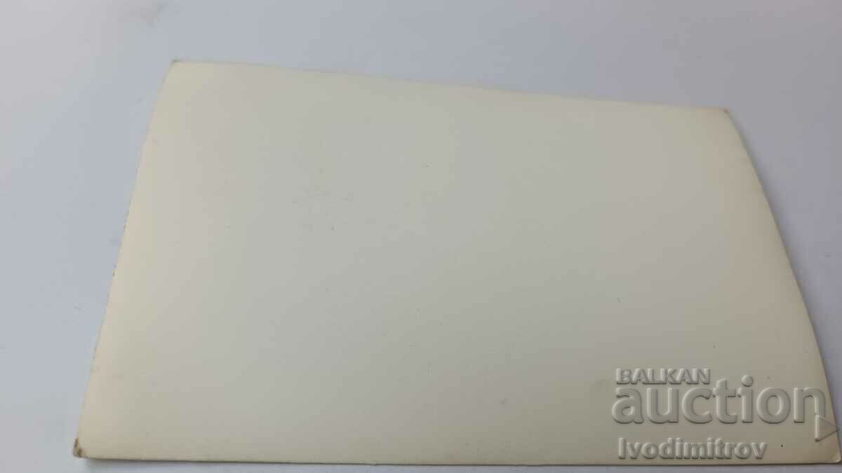 Photo Men and women on a sailboat with price 1.65 BGN | € 0.84