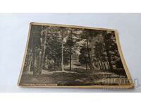 Postcard Rakitovo, Chepinsko Parka 1937