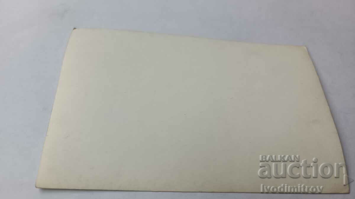 Photo Men and women on a sailboat with price 1.65 BGN | € 0.84 Photo Men and women on a sailboat with price 1.65 BGN | € 0.84