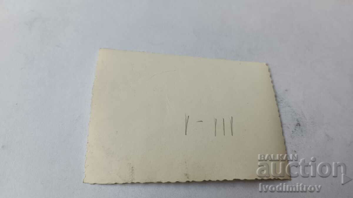 Photo Young girl in a white dress with price 1.65 BGN | € 0.84 Photo Young girl in a white dress with price 1.65 BGN | € 0.84