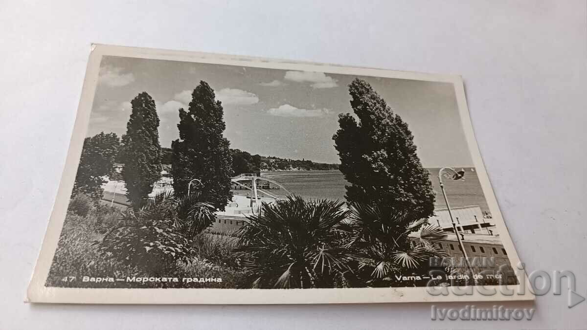 Пощенска картичка Варна Морската градина