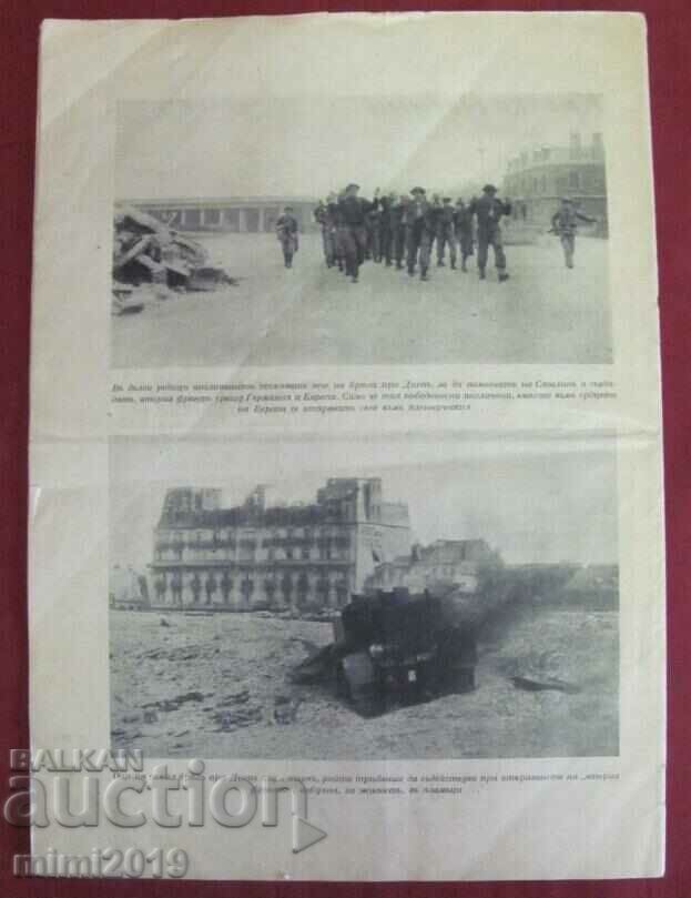 1942 New Europe magazine - 7 1942 New Europe magazine - 7