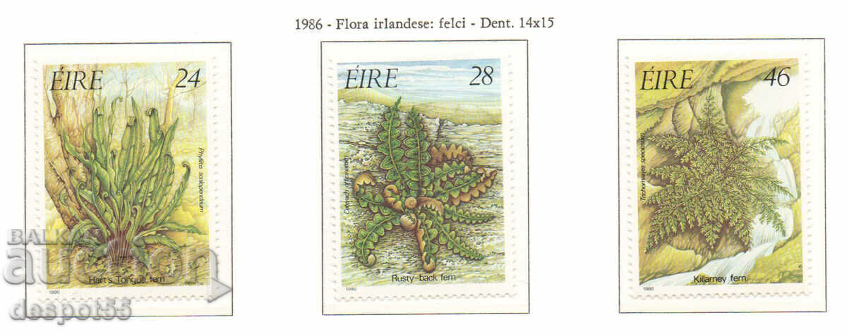 1986. Irlanda. Flora irlandeză - ferigi.
