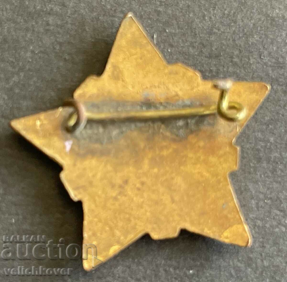 35490 Bulgaria sign BPS Bulgarian Professional Union email with price 3.00 BGN | € 1.53 35490 Bulgaria sign BPS Bulgarian Professional Union email with price 3.00 BGN | € 1.53