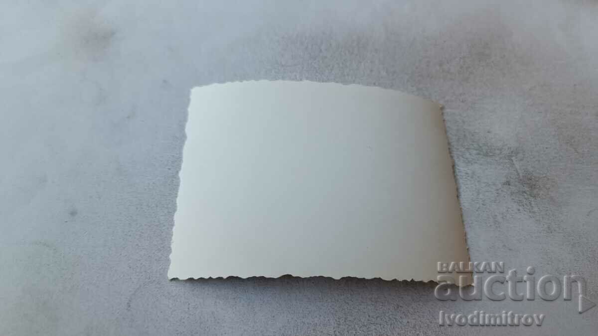 Photo Two young men in swimsuits by a pool with price 2.45 BGN | € 1.25 Photo Two young men in swimsuits by a pool with price 2.45 BGN | € 1.25