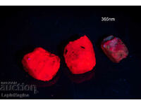 3 pcs strong fluorescence ruby 21.3ct uncut #8