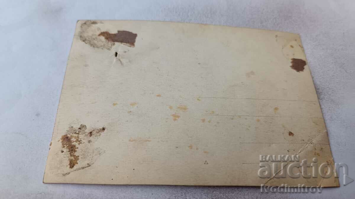 Снимка Младоженци с цена € 0.69 | 1.35 лв.