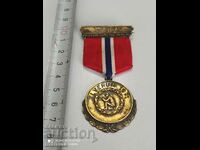 Ασημένιο μετάλλιο Νορβηγίας με επίχρυσο