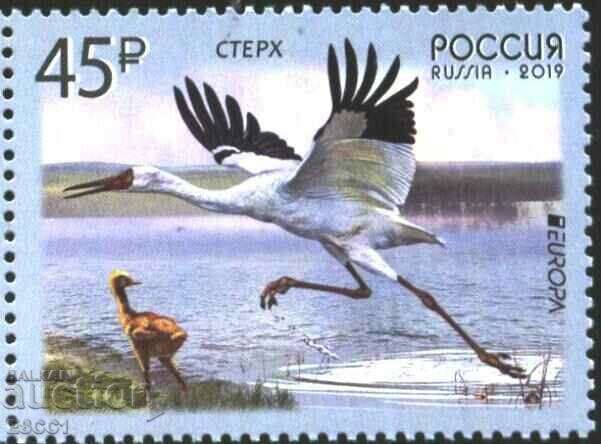 Pure mark Europe SEP Bird Stork 2019 from Russia