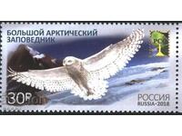 Чиста марка Аркточески резерват Фауна Птица Сова  2018 Русия