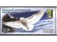 Чиста марка Арктически резерват Фауна Птица Сова  2018 Русия
