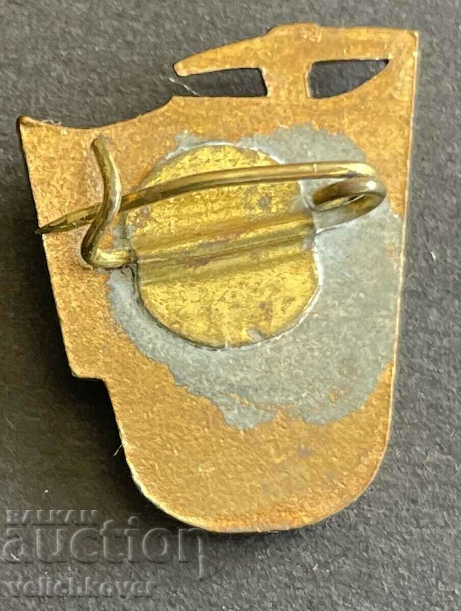 35497 Bulgaria insignia Brigadier's insignia enamel 1950s with price 7.00 BGN | € 3.58 35497 Bulgaria insignia Brigadier's insignia enamel 1950s with price 7.00 BGN | € 3.58