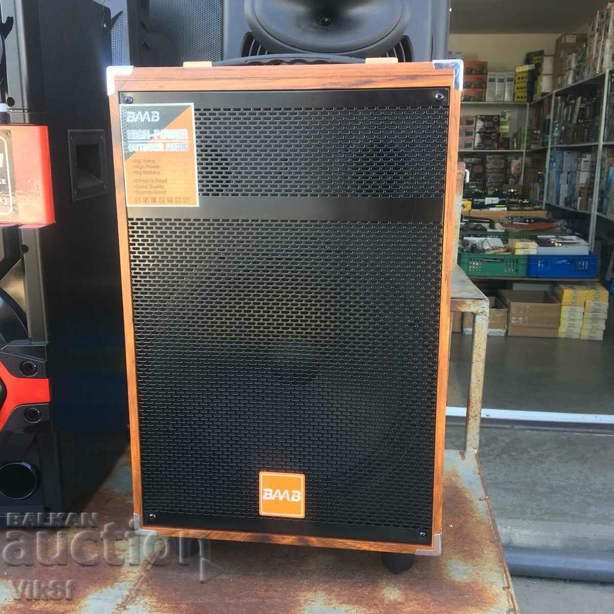 Party karaoke speaker 12" BMB OUTDOOR AUDIO - 5 Party karaoke speaker 12" BMB OUTDOOR AUDIO - 5