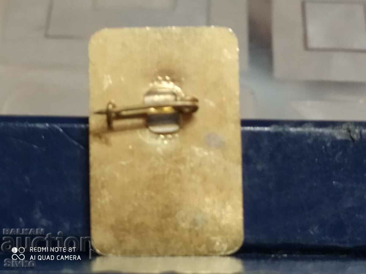 Pioneer Art Badge with price 2.99 BGN | € 1.53 Pioneer Art Badge with price 2.99 BGN | € 1.53