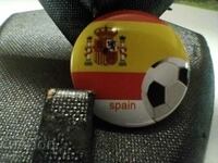 Spain football championship badge