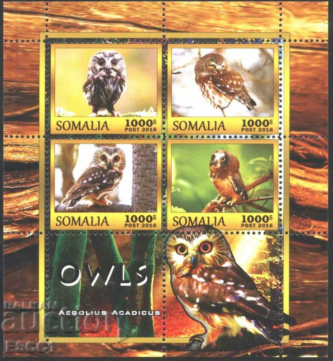 Clean Block Fauna Birds Owls 2016 από τη Σομαλία