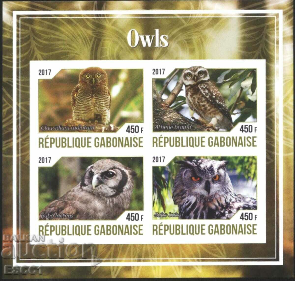 Clean Block Fauna Birds Owls 2017 from Gabon