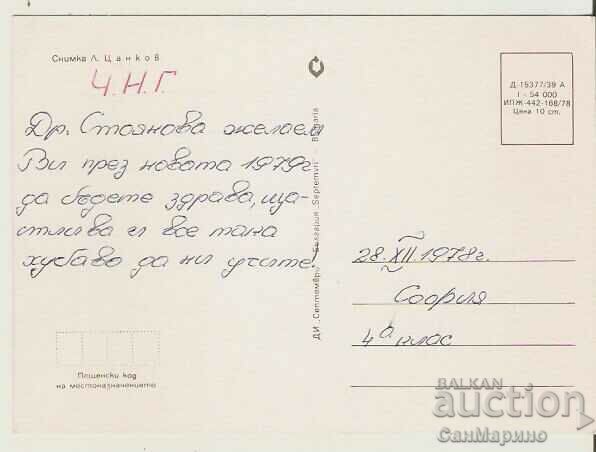 Card Bulgaria Winter landscape 26* with price 0.80 BGN | € 0.41 Card Bulgaria Winter landscape 26* with price 0.80 BGN | € 0.41