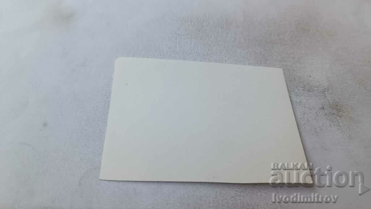 Photo Two little boys on the beach with price 1.65 BGN | € 0.84 Photo Two little boys on the beach with price 1.65 BGN | € 0.84