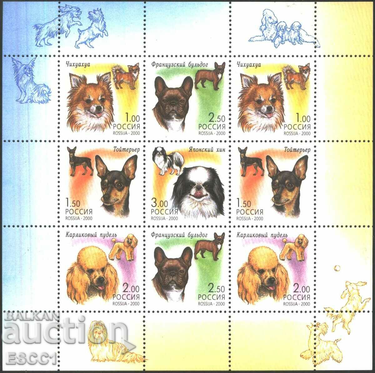 Καθαρά γραμματόσημα σε μικρό φύλλο Fauna Dogs 2000 από τη Ρωσία