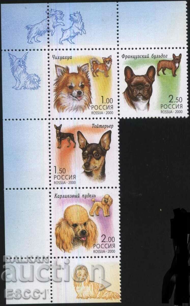 Чисти марки  Фауна Кучета 2000 от Русия