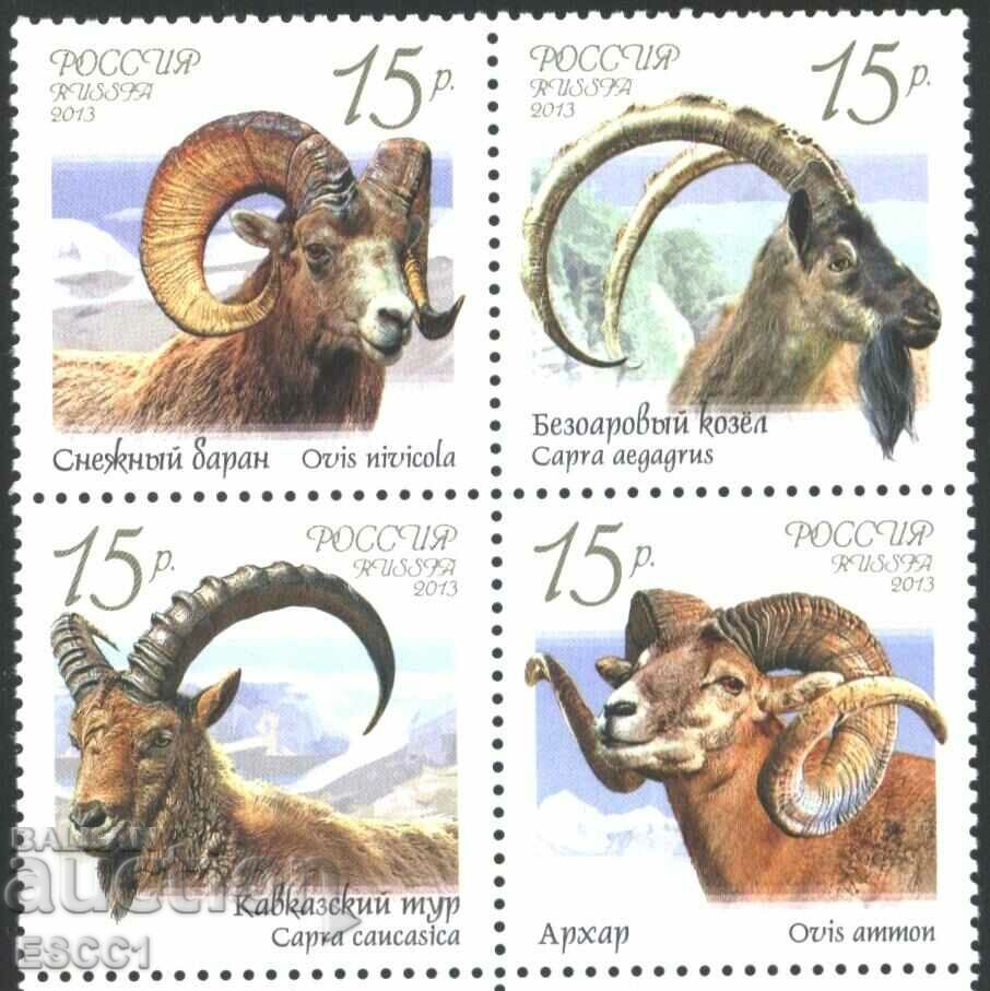 Branduri pure Fauna Goats and Berbec 2013 din Rusia