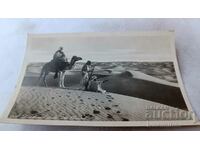 Carte poștală A Lookout in the Desert din 1929