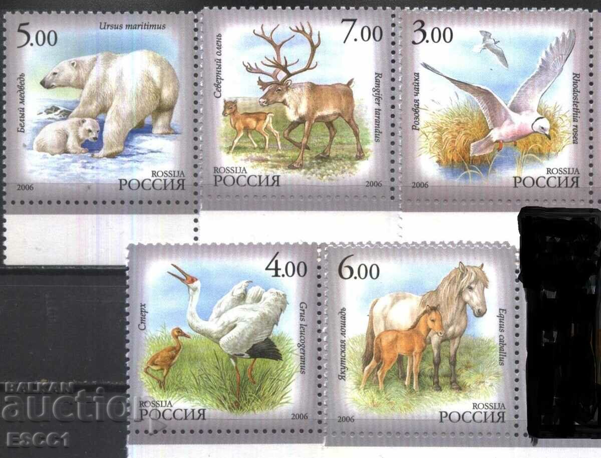 Чисти марки Фауна Птици Мечки Елени Коне  2006 от Русия