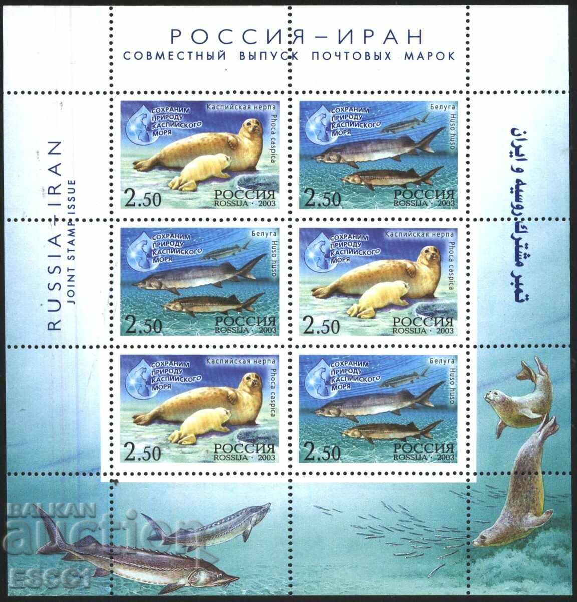 Clean stamps in small sheet Fauna Caspian Sea 2003 from Russia